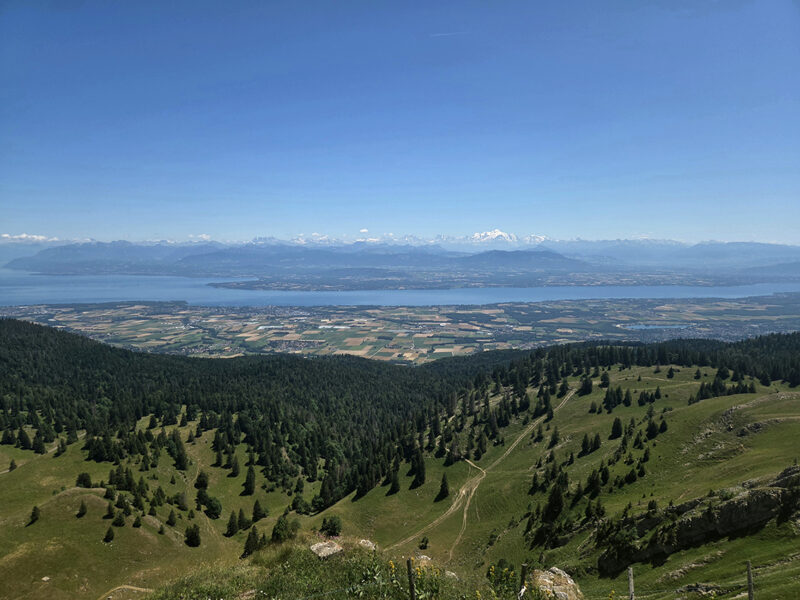 Vue sur le lac Léman et le Mont Blanc depuis la Dôle - Jura
