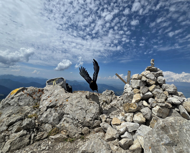Sommet de la Dent d'Oche. 